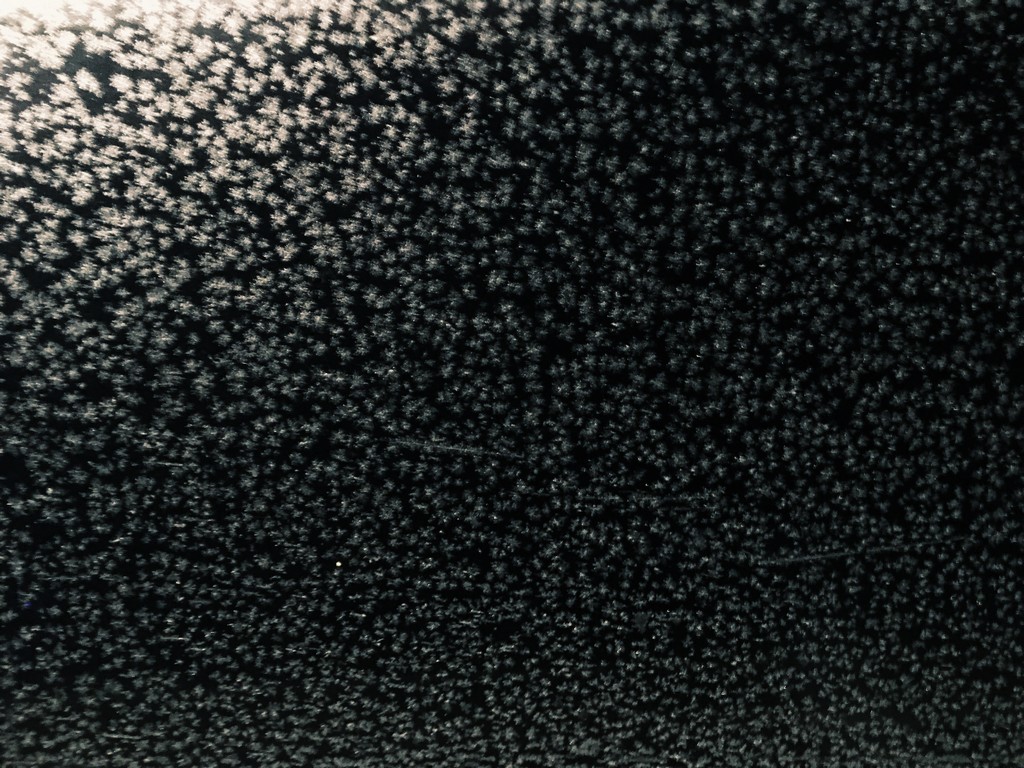 2019